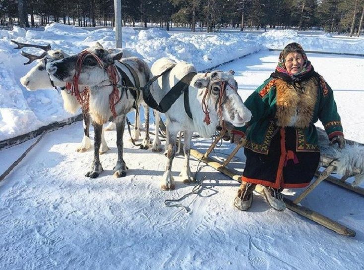 Некоторые россияне будут выходить на пенсию досрочно