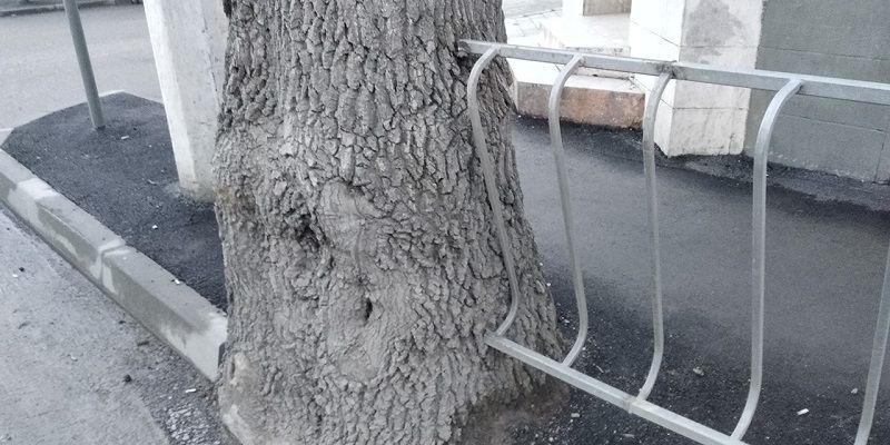 ������ ����� �� �������: ������ � ����������� � ����� �� ����������
