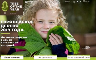 ������� �� �� �������-������������ �������� � ������������������ ���������� ������� ������� � ����������� �� ������ ������������ ������ 2019 ����