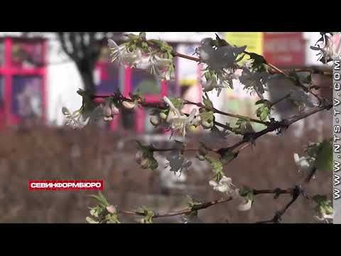 � ����������� ����� ������