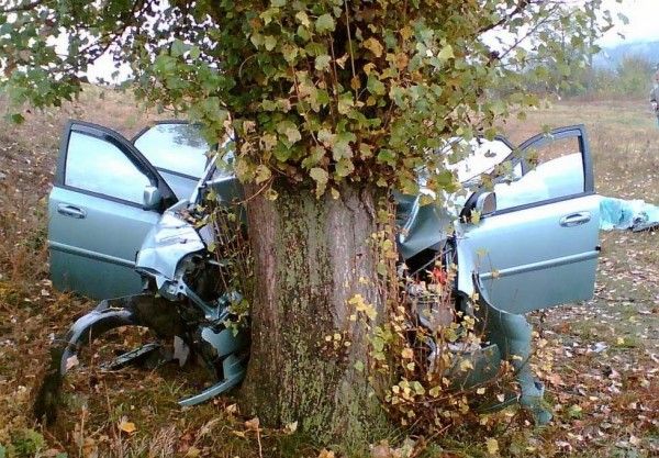 ДТП в Крыму: мужчина врезался в дерево и оказался зажат в машине