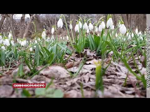 � ����������� ������� ������ �����������