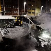 ��������������� ��������� ������������� ����� � ��� �����������