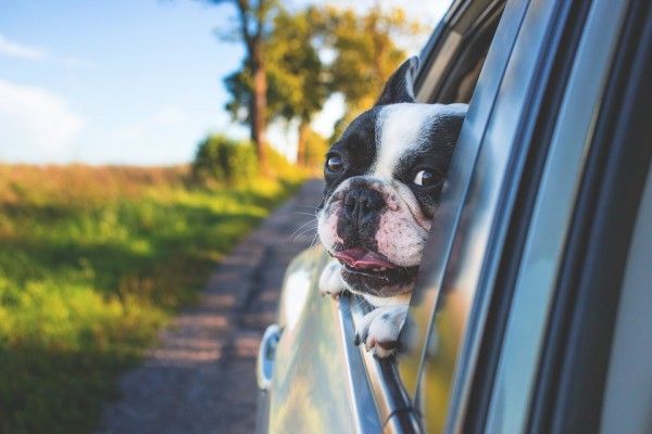 � ����������� ��������� �������������� � ������������� ���������� ����������� ���� 2101�