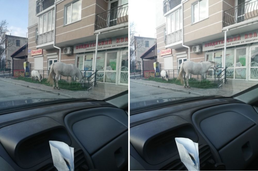 ������� #713. ����������, ��������� ��������, ����� �� ������ � ������� ���������