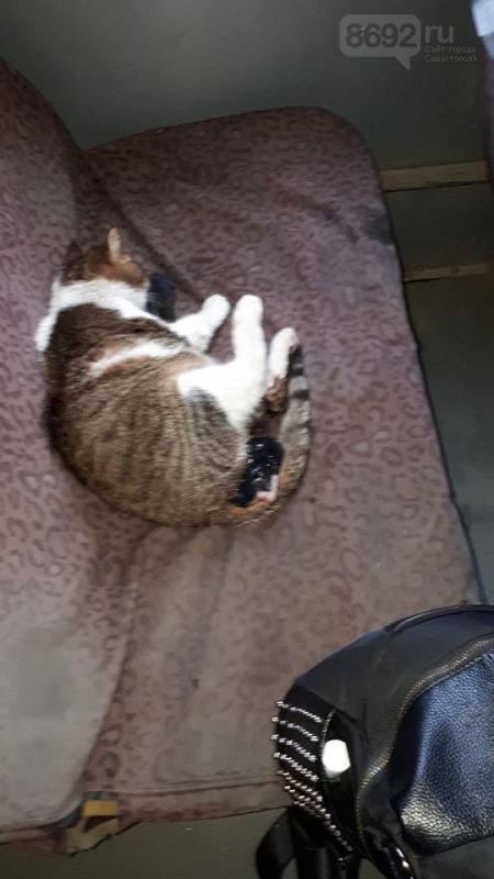 � �������� ��������� ����� ������ �����