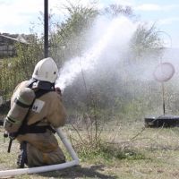 � ����������� ������ ������������, ����������� ������ ����������� ���, �������� ��� ���������� ��������� ������������