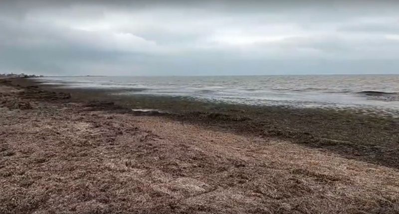 ������ ������ ������: ��� ������ ����� ������� ������� � �������� �����