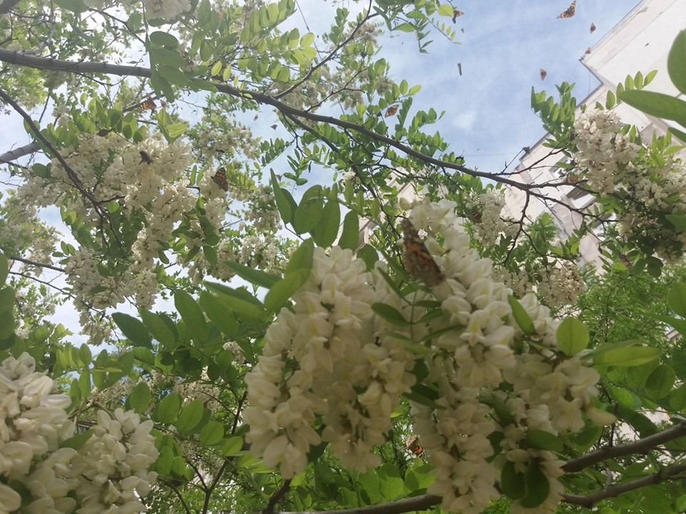 ���������� � �� �����: ��������� ������� � ������� � �����������