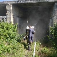 ��� � ����� �������. ��������������� ��������� ���������� ���������������
