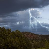 ��� �������������: 15 � 16 ���� � ����������� ��������� �����, ����� � �������� �����. ������ ���������!