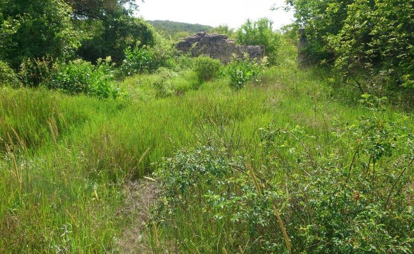 ��������� ������ ������� ����������� ������� ����� �� ��������� ��������