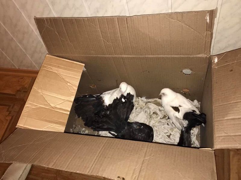 � ����� ������� ��������� �������������