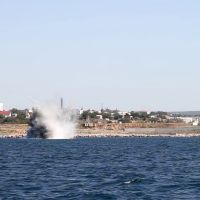 � ����������� �� �������� ���� ������� ���������� ����� SD-50, ������������ � ��������� �������� �����