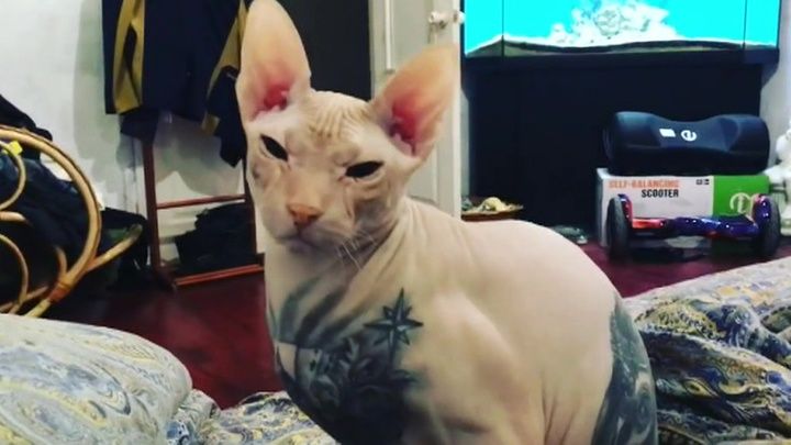 �� � �������������: ���� ����� ���� �������������� ���� � ������ Instagram