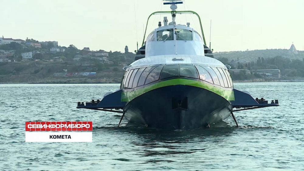 ����� 40 ����� ������� ����������� �� ������� � 2019 ���� � ����������� ����������� �����������