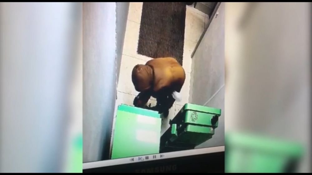 ��� ����� ��� ������� �������� ��������