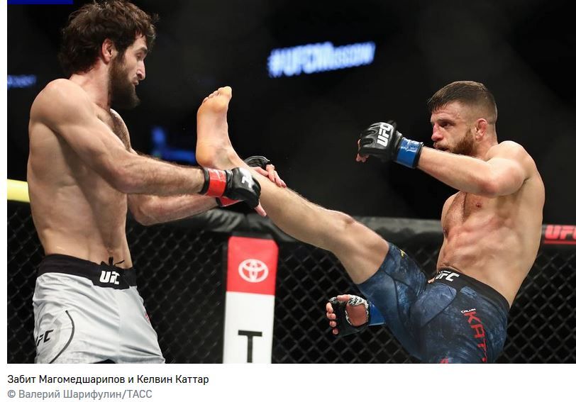 ������ ��������������� � ������ ��������� �������������. ������ UFC ������ � ������