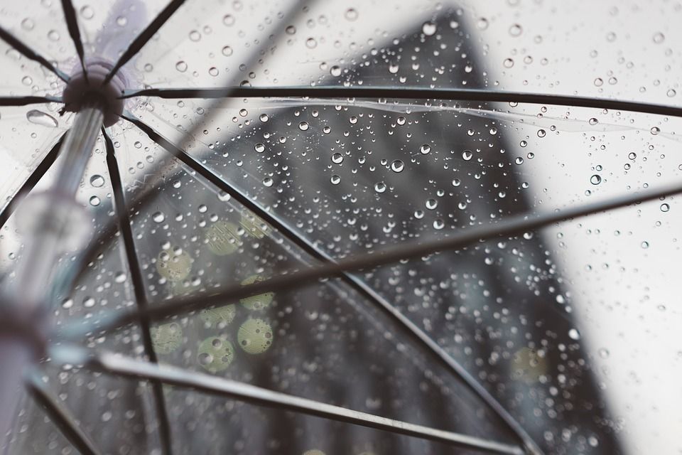 �� ���� ��� �����������: ������� ������ �� �������