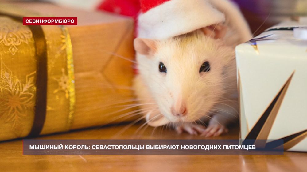 ������� ������: ��� ����� ������ ��� �������