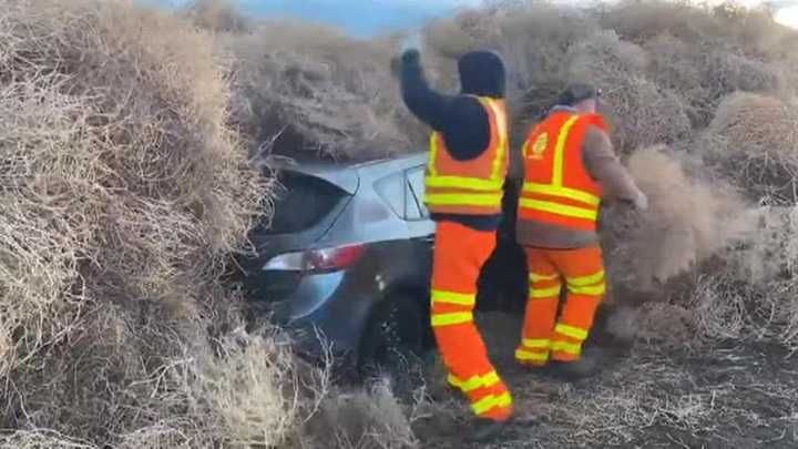 � ���������� ��������-���� ������������� ����� ������������� ��������