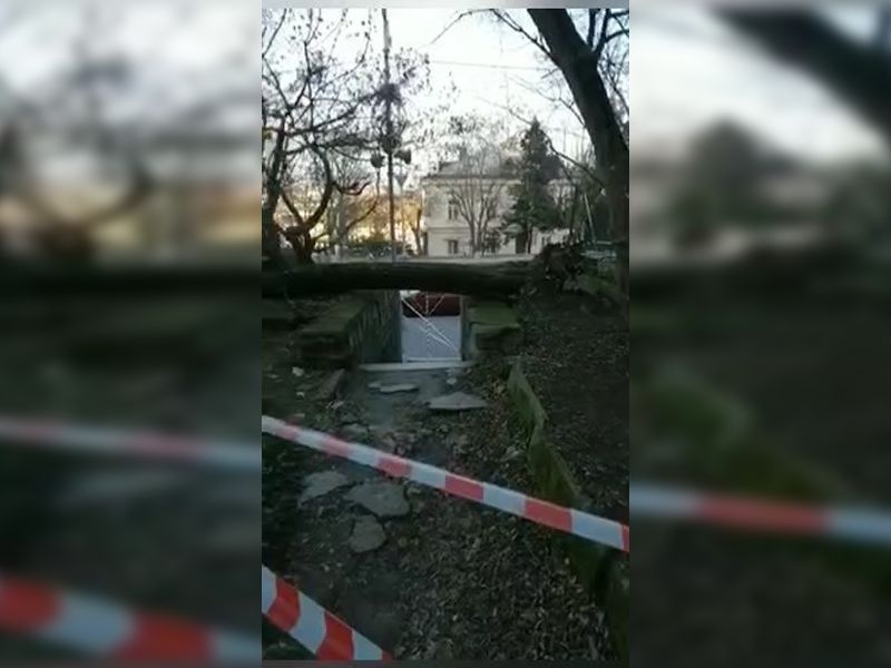 � ������ ����������� ������� ������