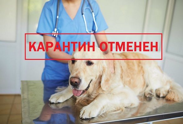 � ������ ��������������� ����������� �� ���������