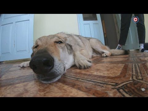 ��� ������, � ��� ������ ���� ������? ������ �������� ���������� �������� (�����)