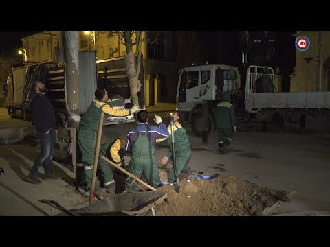 �� ������� ������� ���� ������� ��������