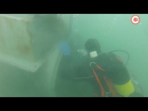 � ����������� ��������� ������������ ���� �������� ��������� ��������-2020� (�����)