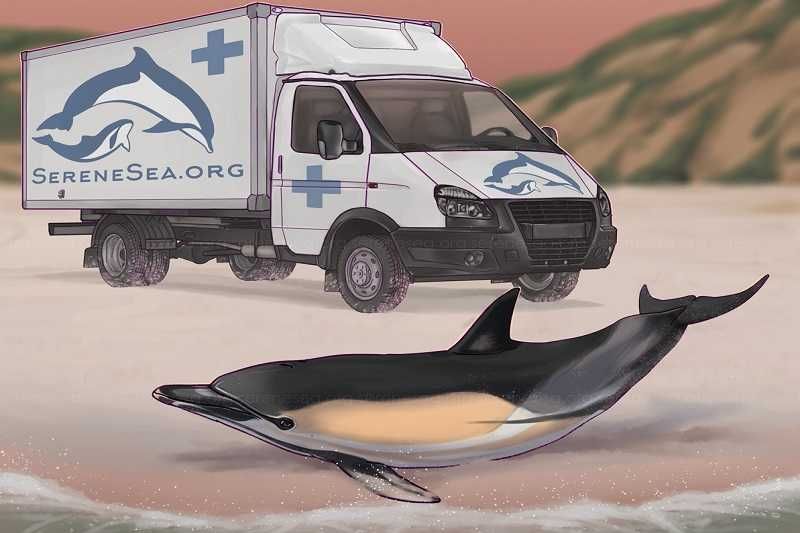 � ����� �������� ������ ������ ��� ���������