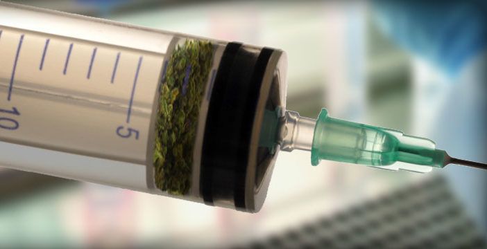 � ����������� — ������ ���� ����� «������, ��� ������� �������»