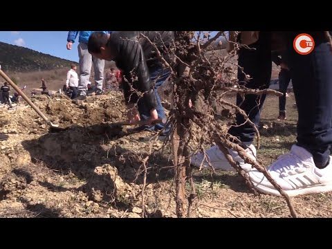 � ����� ������ ��������� ������������� ����� � ����������� � ������� �������� �������� ��� (�����)