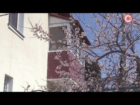 �������� ����������� ����������� ������ ������� ������� ����� �� �������� ������� (�����)