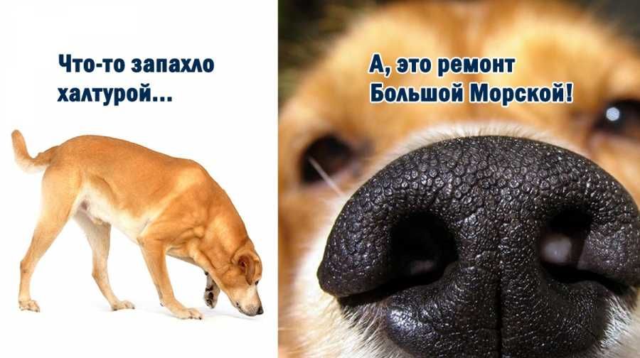 ��������������� ����������� ��������� �������� ��������� � ������� �������