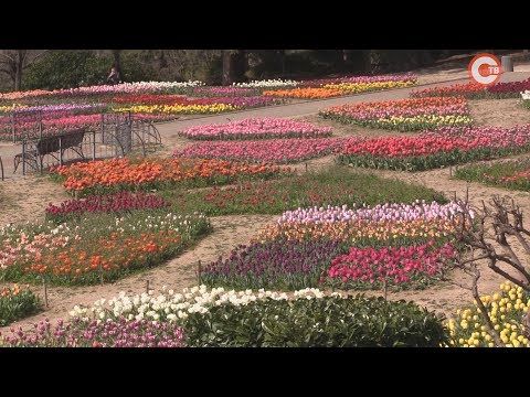 � ��������� ������������ ���� �������� ��������� ������� ��������� (�����)