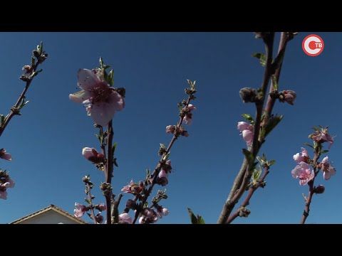 � ������������� ���������� ������� �� ��������� ������� �������� ������� � ������� (�����)