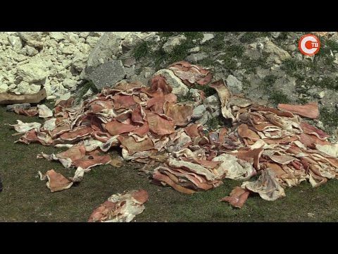 ���� ��������� � ������ ����� ������� ������������ � ������ (�����)
