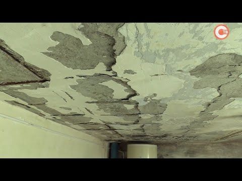 ������ ���� �� ����� ������� �������� �������� �� ����������� ����� (������)