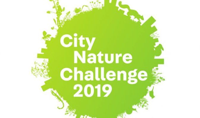 ���������� ����� — � ���-10 �������������� ���������� City Nature Challenge