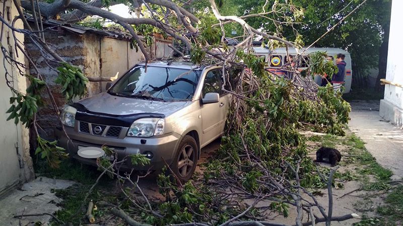 � ����������� ��������� ������ ��������� Nissan