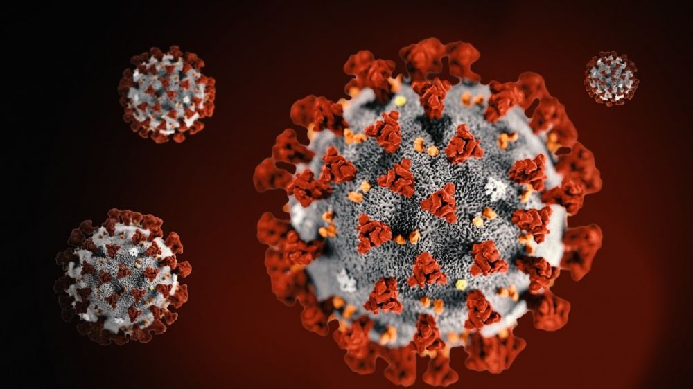 � ����������� ������������ ���� ����� ������ ��������� COVID-19