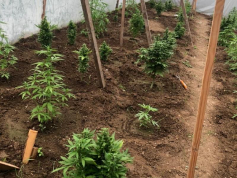 ��� � �����: ��������� ������ � ������� ��������������