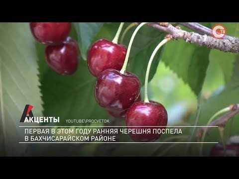 �������. ������ � ���� ���� ������ ������� ������� � �������������� ������