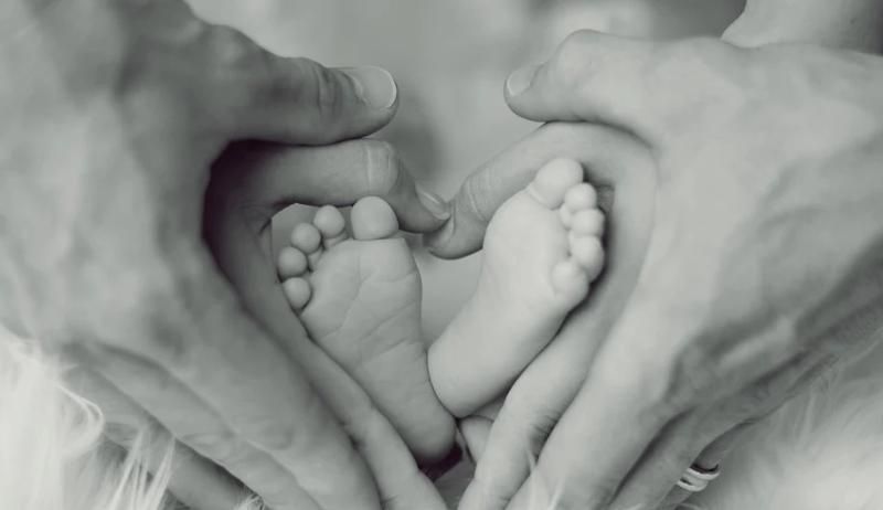 � ����������� ����������� ���������� ��������� ���