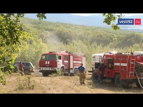 ��� ������������ �������� ������ ������� ����