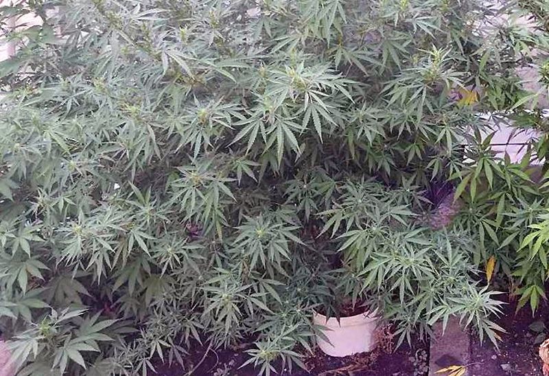 � ���� ����������� �������� ������������ ���������������