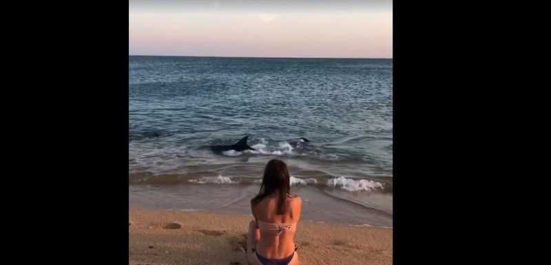 � ����� �������� �������� ������ � ������ � �������� ���
