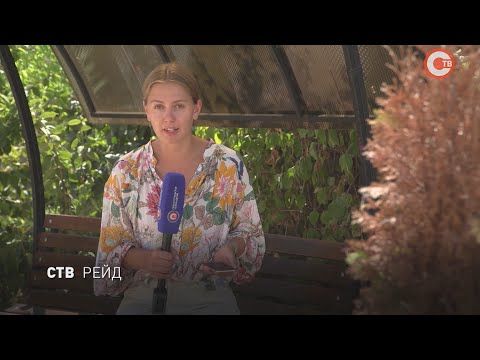 ���-����: �������� �������, ������ ��� ������ � �������� ���������� ��������