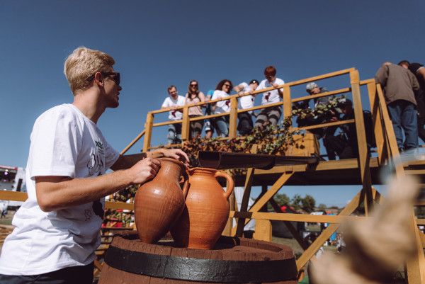 WineFest 2020: �� ������������� � ����������� ����������� ������
